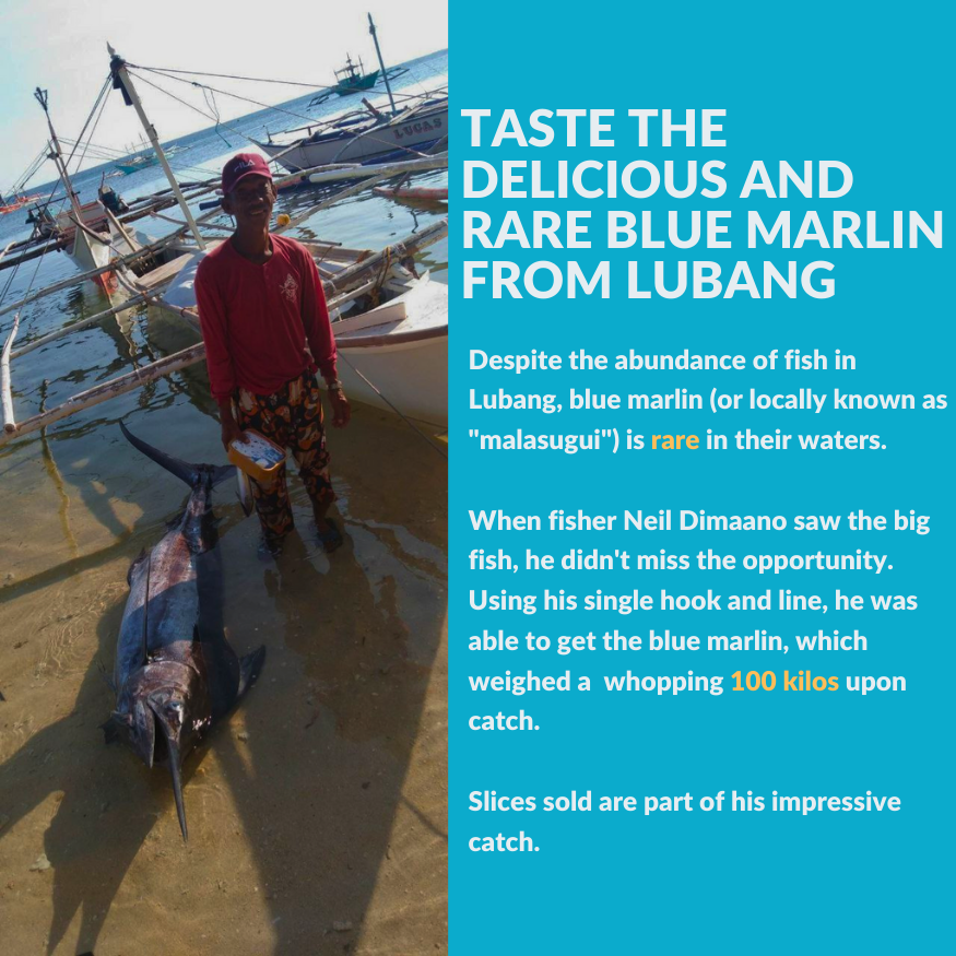 Blue Marlin (Malasugui) Fillet