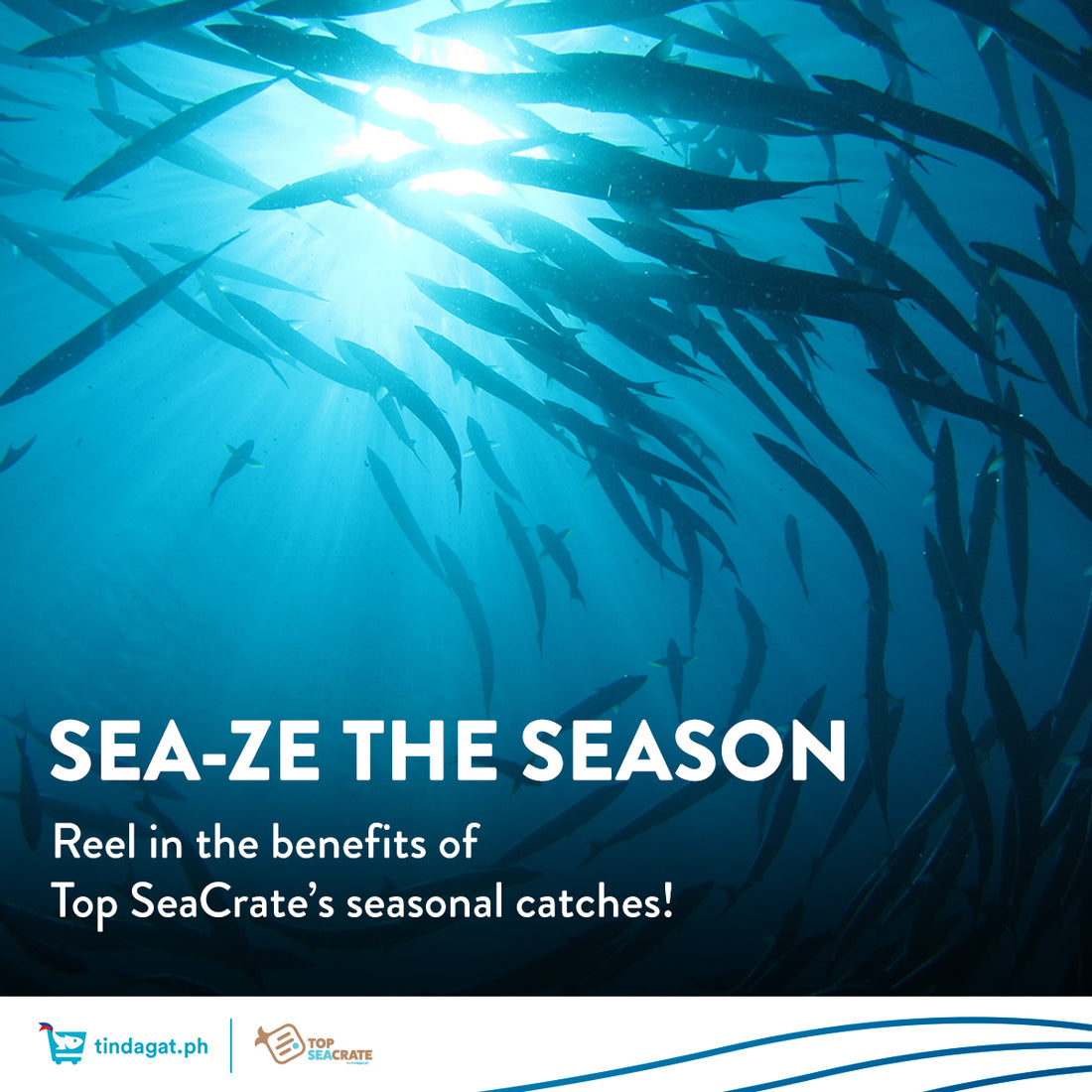 Reel in the benefits of seasonal catches!