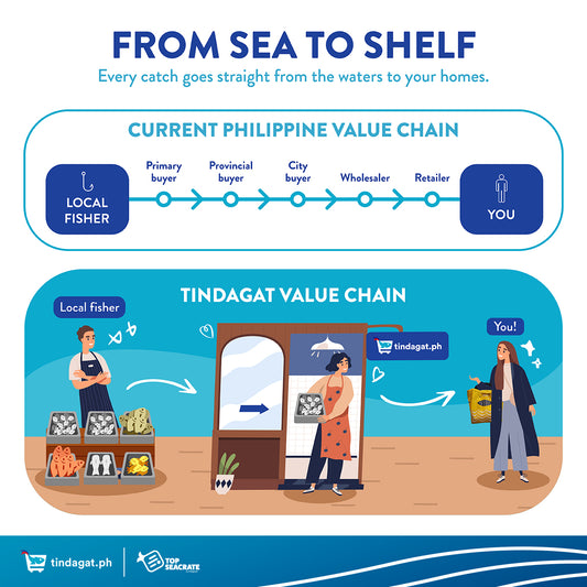 From Sea to Shelf: Every catch goes straight from the waters to your homes