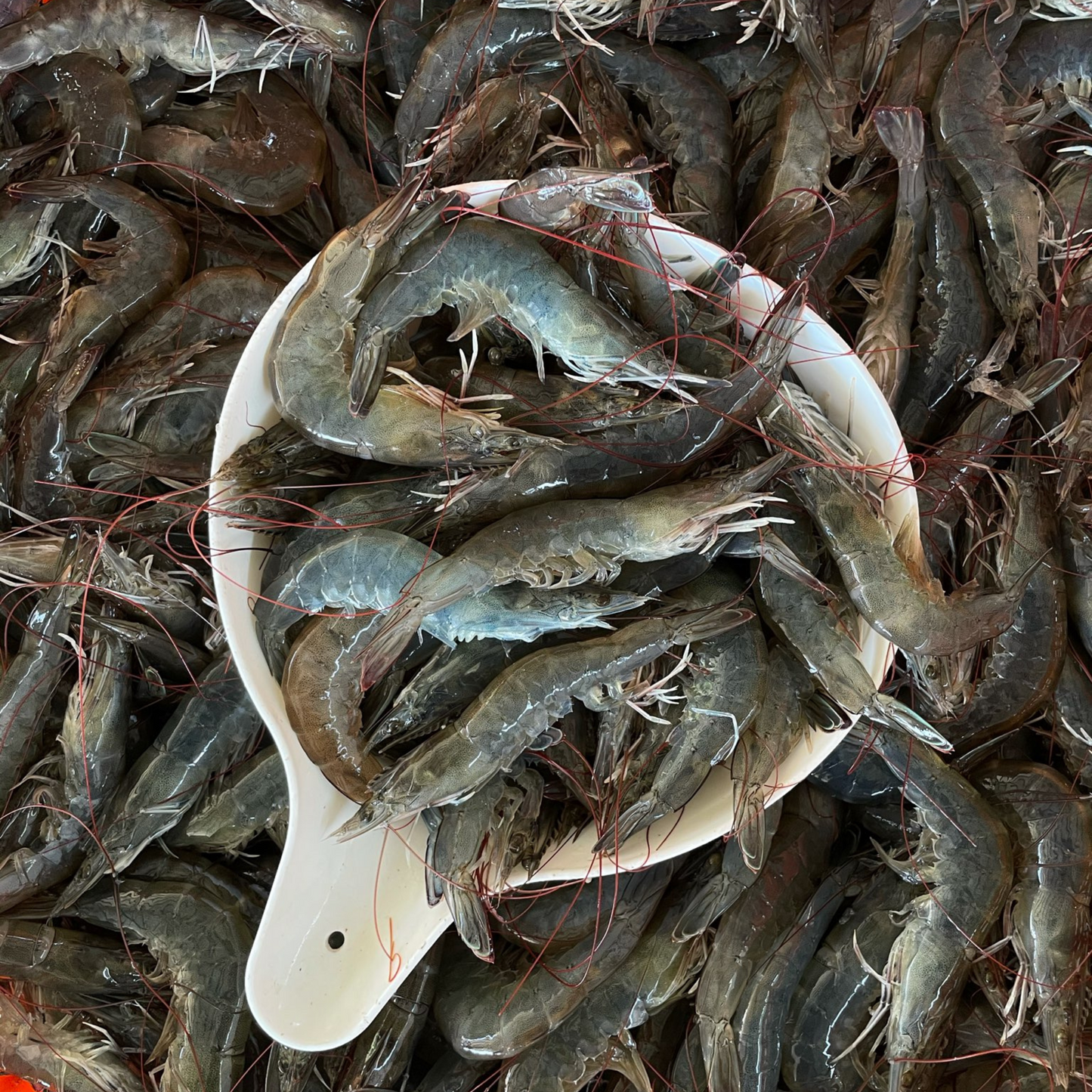 Frozen Vannamei Shrimps (1KG)