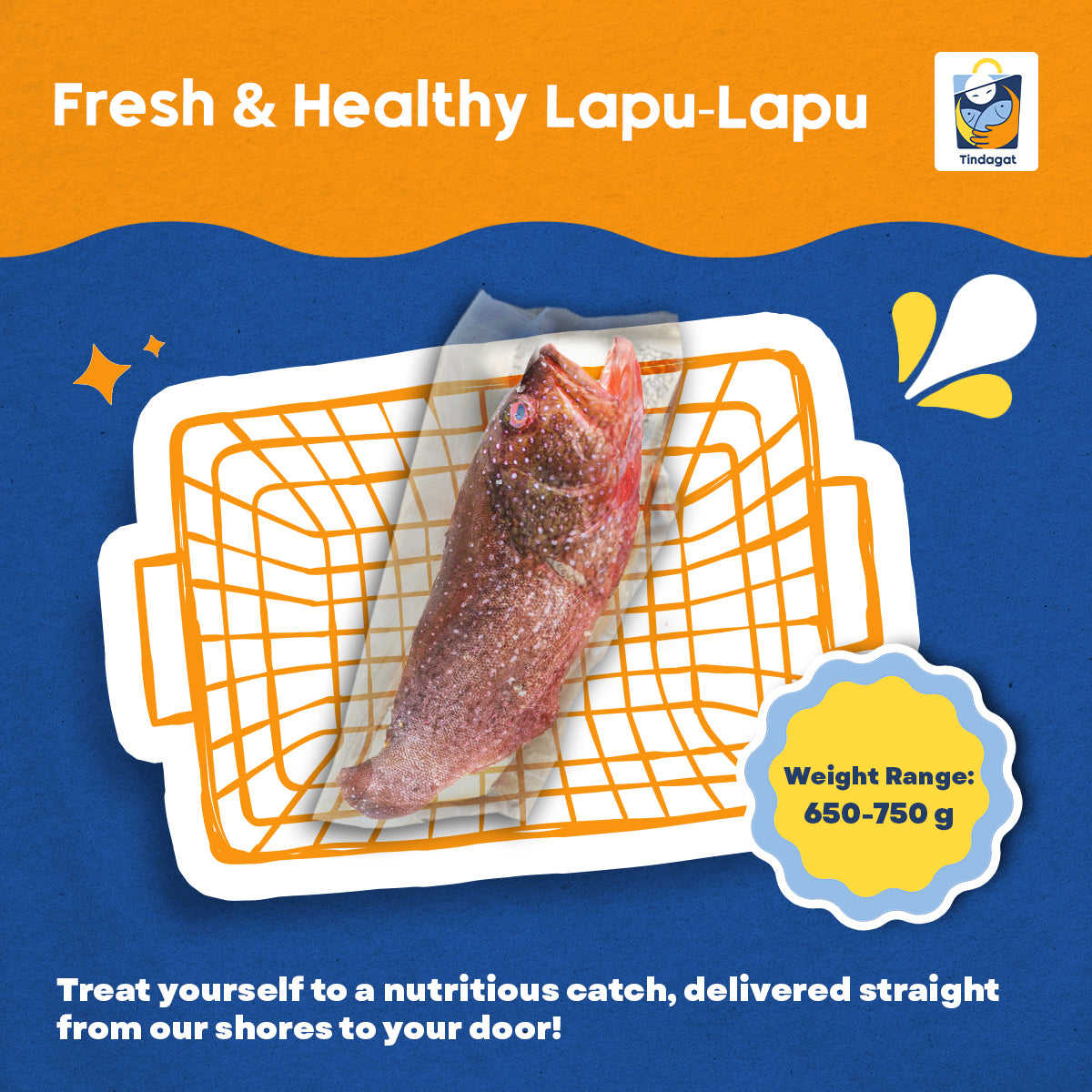 Healthy Reset Bundle