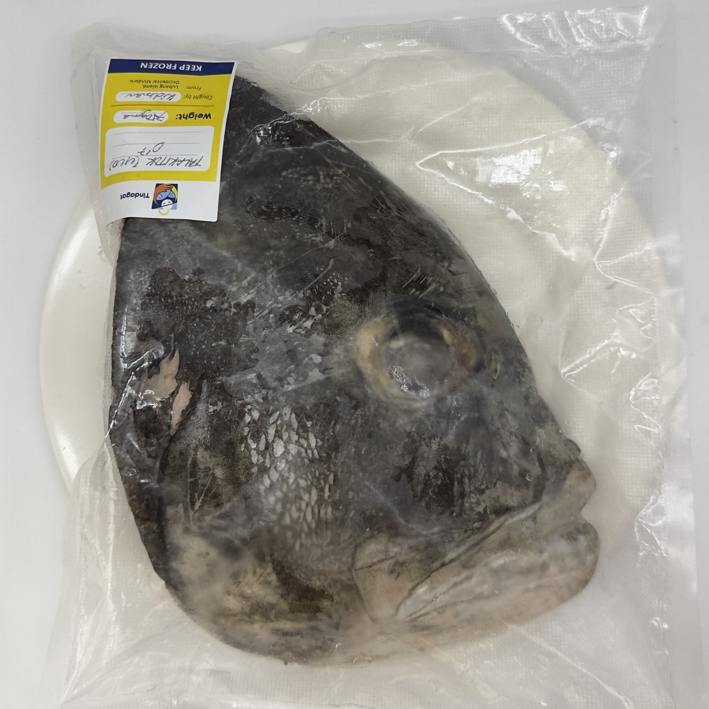 Talakitok (Jackfish) Ulo x Panga