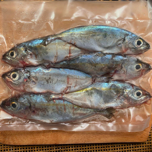 Matambaka (Big Eye Scad)